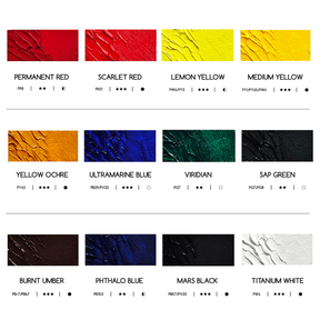 MEEDEN Artist Grade Oil Paint - 170ml/5.7oz, 12 Tubes